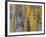 Battery Abstract 1-Don Paulson-Framed Giclee Print