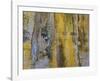 Battery Abstract 1-Don Paulson-Framed Giclee Print