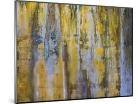 Battery Abstract 2-Don Paulson-Mounted Giclee Print