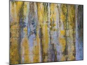 Battery Abstract 2-Don Paulson-Mounted Giclee Print