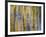 Battery Abstract 2-Don Paulson-Framed Giclee Print