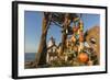 Battery Point Lighthouse in Crescent City, California, USA-Chuck Haney-Framed Photographic Print