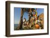 Battery Point Lighthouse in Crescent City, California, USA-Chuck Haney-Framed Photographic Print