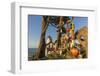 Battery Point Lighthouse in Crescent City, California, USA-Chuck Haney-Framed Photographic Print