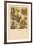 Battle Armor of India-Racinet-Framed Art Print