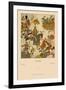 Battle Armor of India-Racinet-Framed Art Print