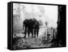Battle Casualty-Hugh Van Es-Framed Stretched Canvas