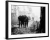 Battle Casualty-Hugh Van Es-Framed Photographic Print