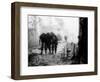 Battle Casualty-Hugh Van Es-Framed Photographic Print