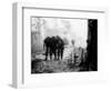 Battle Casualty-Hugh Van Es-Framed Photographic Print