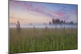 Battle Ground Sunrise-Darren White Photography-Mounted Photographic Print