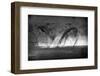 Battle in Black and White-Jaco Marx-Framed Photographic Print