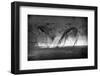 Battle in Black and White-Jaco Marx-Framed Photographic Print