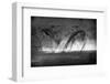 Battle in Black and White-Jaco Marx-Framed Photographic Print