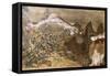 Battle of Adwa, First and Second Battalion of Riflemen on Mount Rajo, March 1, 1896-null-Framed Stretched Canvas