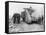 Battle of Amiens WWI-Robert Hunt-Framed Stretched Canvas