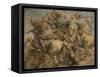 Battle of Anghiari-Peter Paul Rubens-Framed Stretched Canvas