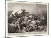 Battle of Bosworth Field-null-Mounted Giclee Print