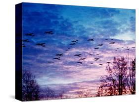Battle of Britain-null-Stretched Canvas