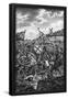 Essential Black