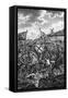 Canvas Black