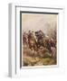 Battle of Edgehill: Prince Rupert's Charge-Harry Payne-Framed Art Print