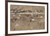 Battle Of Fredericksburg-Alfred R. Waud-Framed Premium Giclee Print