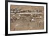 Battle Of Fredericksburg-Alfred R. Waud-Framed Premium Giclee Print