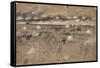 Battle Of Fredericksburg-Alfred R. Waud-Framed Stretched Canvas