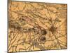 Battle of Gettysburg - Civil War Panoramic Map-Lantern Press-Mounted Art Print