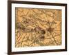 Battle of Gettysburg - Civil War Panoramic Map-Lantern Press-Framed Art Print