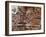 Battle of Guararapes, Brazil, 18 February 1649-null-Framed Giclee Print