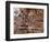 Battle of Guararapes, Brazil, 18 February 1649-null-Framed Giclee Print