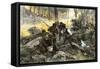 Battle of King's Mountain, South Carolina, 1780, American Revolution-null-Framed Stretched Canvas