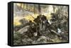 Battle of King's Mountain, South Carolina, 1780, American Revolution-null-Framed Stretched Canvas