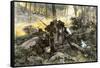 Battle of King's Mountain, South Carolina, 1780, American Revolution-null-Framed Stretched Canvas