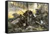 Battle of King's Mountain, South Carolina, 1780, American Revolution-null-Framed Stretched Canvas