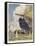 Battle of Lake Erie-W.j. Aylward-Framed Stretched Canvas