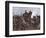 Battle of Leipzig 1813-R Knoetel-Framed Art Print