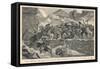 Battle of Pirot 1885-null-Framed Stretched Canvas
