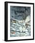 Battle of Port Arthur Russian-Japanese War (Feb 1904)-null-Framed Giclee Print