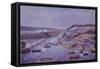 Battle of Queenston Heights-null-Framed Stretched Canvas