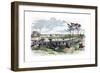 Battle of Shiloh, Tennessee, American Civil War, 6 April 1862-null-Framed Giclee Print