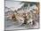 Battle of Shizugatake Pass 1583-Japanese School-Mounted Giclee Print