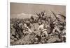 Battle of Tarapaca, Between Peruvian and Chilian Troops, November 27, 1879-null-Framed Giclee Print