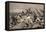 Battle of Tarapaca, Between Peruvian and Chilian Troops, November 27, 1879-null-Framed Stretched Canvas