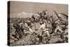 Battle of Tarapaca, Between Peruvian and Chilian Troops, November 27, 1879-null-Stretched Canvas