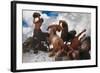 Battle of the Centaurs, 1872-73-Arnold Bocklin-Framed Giclee Print