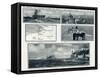 Battle of the Falkland Islands-G.h. Davis-Framed Stretched Canvas