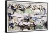 Battle of the Little Big Horn, Montana, USA, 25-26 June 1876-null-Framed Stretched Canvas